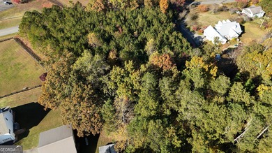 Dreaming? Are you thinking a place of peace overlooking a on Crystal Falls Golf Club in Georgia - for sale on GolfHomes.com, golf home, golf lot