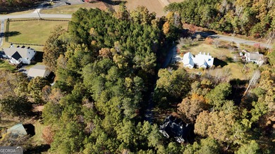 Dreaming? Are you thinking a place of peace overlooking a on Crystal Falls Golf Club in Georgia - for sale on GolfHomes.com, golf home, golf lot