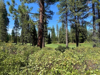 Lovely property with sweeping views of the 14th hole at Bailey on Bailey Creek Golf Course in California - for sale on GolfHomes.com, golf home, golf lot