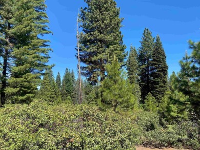 Lovely property with sweeping views of the 14th hole at Bailey on Bailey Creek Golf Course in California - for sale on GolfHomes.com, golf home, golf lot