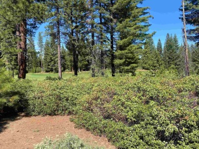 Lovely property with sweeping views of the 14th hole at Bailey on Bailey Creek Golf Course in California - for sale on GolfHomes.com, golf home, golf lot