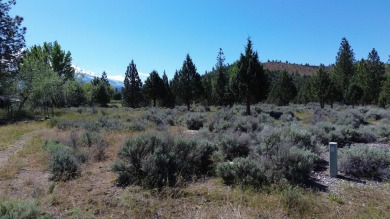 SPECTACULAR VIEWS OF MT. SHASTA AND GOLF COURSE - Discover this on Lake Shastina Golf Course in California - for sale on GolfHomes.com, golf home, golf lot