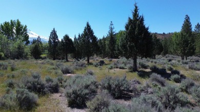 SPECTACULAR VIEWS OF MT. SHASTA AND GOLF COURSE - Discover this on Lake Shastina Golf Course in California - for sale on GolfHomes.com, golf home, golf lot