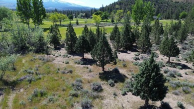 SPECTACULAR VIEWS OF MT. SHASTA AND GOLF COURSE - Discover this on Lake Shastina Golf Course in California - for sale on GolfHomes.com, golf home, golf lot