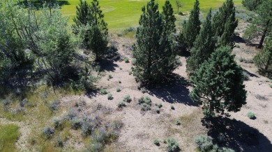 SPECTACULAR VIEWS OF MT. SHASTA AND GOLF COURSE - Discover this on Lake Shastina Golf Course in California - for sale on GolfHomes.com, golf home, golf lot