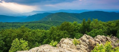 || NATURE LOVER'S PARADISE || || OUTDOOR ENTHUSIAST'S DREAM || on Big Canoe Golf Club - Cherokee in Georgia - for sale on GolfHomes.com, golf home, golf lot