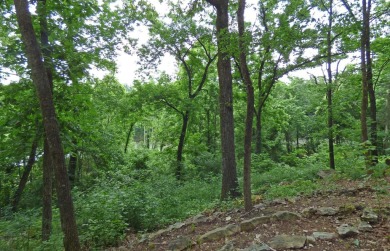 South Fork River Views! This one-level home has 2 bedrooms, 2 on Cherokee Village North Course in Arkansas - for sale on GolfHomes.com, golf home, golf lot