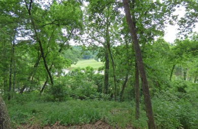 South Fork River Views! This one-level home has 2 bedrooms, 2 on Cherokee Village North Course in Arkansas - for sale on GolfHomes.com, golf home, golf lot