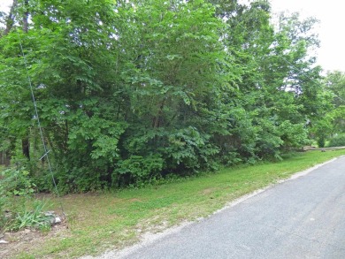 South Fork River Views! This one-level home has 2 bedrooms, 2 on Cherokee Village North Course in Arkansas - for sale on GolfHomes.com, golf home, golf lot