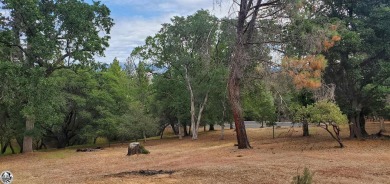 Beautiful Pine Mountain Lake Double Lot: Nearly level, Easy on Pine Mountain Lake Country Club in California - for sale on GolfHomes.com, golf home, golf lot