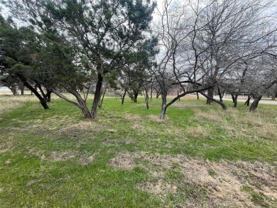 Beautiful corner lot in White Bluff! This lot is has one of the on White Bluff Resort - New Course in Texas - for sale on GolfHomes.com, golf home, golf lot