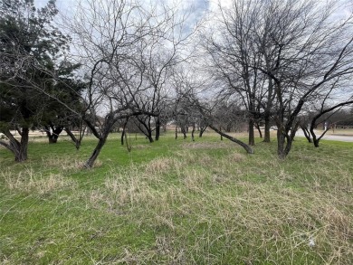 Beautiful corner lot in White Bluff! This lot is has one of the on White Bluff Resort - New Course in Texas - for sale on GolfHomes.com, golf home, golf lot