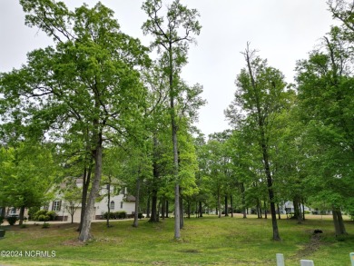 Beautiful, level, .29 acre lot, ready for your new home build in on Sound Golf Links at Albemarle Plantation in North Carolina - for sale on GolfHomes.com, golf home, golf lot