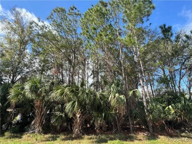 This .34-acre vacant land, situated near the stunning Plantation on Plantation Inn and Golf Resort  in Florida - for sale on GolfHomes.com, golf home, golf lot