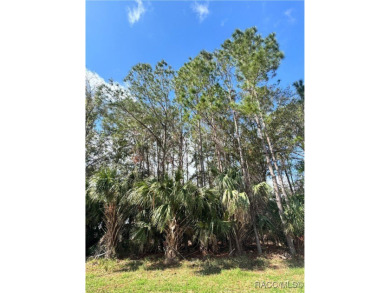 This .34-acre vacant land, situated near the stunning Plantation on Plantation Inn and Golf Resort  in Florida - for sale on GolfHomes.com, golf home, golf lot