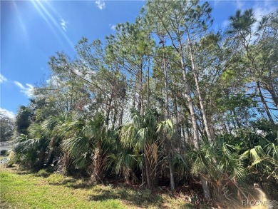 This .34-acre vacant land, situated near the stunning Plantation on Plantation Inn and Golf Resort  in Florida - for sale on GolfHomes.com, golf home, golf lot