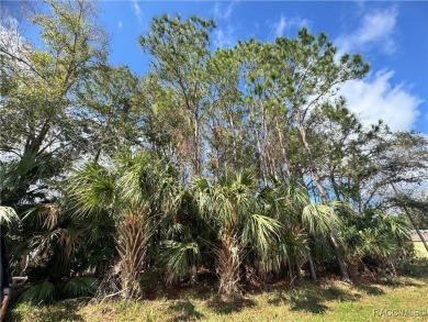 This .34-acre vacant land, situated near the stunning Plantation on Plantation Inn and Golf Resort  in Florida - for sale on GolfHomes.com, golf home, golf lot