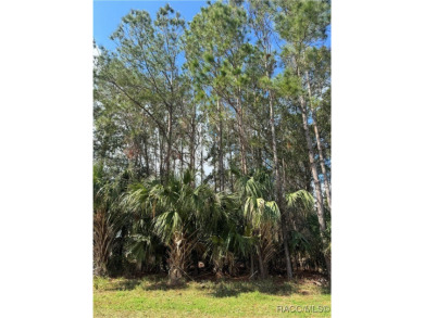This .34-acre vacant land, situated near the stunning Plantation on Plantation Inn and Golf Resort  in Florida - for sale on GolfHomes.com, golf home, golf lot