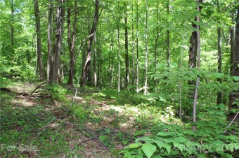 (3) lots totaling 5.35 acres located on a quiet cul-de-sac on Rumbling Bald Resort on Lake Lure in North Carolina - for sale on GolfHomes.com, golf home, golf lot