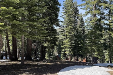 This beautiful mountain lot on Muhlebach Way is one of the few on Tahoe Donner Golf Course in California - for sale on GolfHomes.com, golf home, golf lot