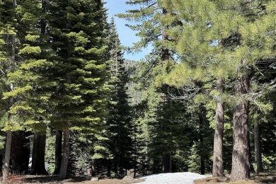 This beautiful mountain lot on Muhlebach Way is one of the few on Tahoe Donner Golf Course in California - for sale on GolfHomes.com, golf home, golf lot