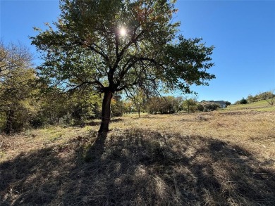 RECENT IMPROVEMENT - LOT HAS BEEN CLEARED and PRICE HAS BEEN on Granbury Country Club in Texas - for sale on GolfHomes.com, golf home, golf lot