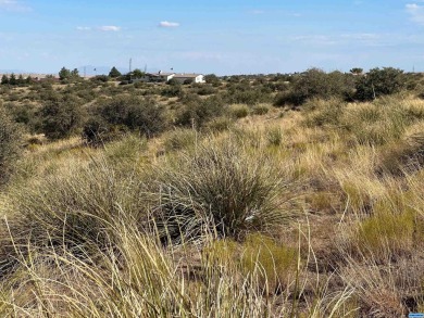 PRICE REDUCED! High up on the ridge with 360 degree long on Silver City Golf Course in New Mexico - for sale on GolfHomes.com, golf home, golf lot