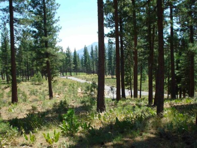 Nestled within the gated community of Grizzly Ranch, this on Grizzly Ranch Golf Club in California - for sale on GolfHomes.com, golf home, golf lot