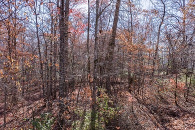 Discover an exceptional opportunity to build your dream home on on Lake Tansi Village Country Club in Tennessee - for sale on GolfHomes.com, golf home, golf lot