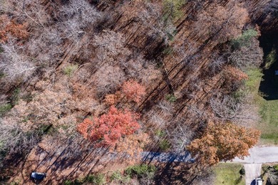 Discover an exceptional opportunity to build your dream home on on Lake Tansi Village Country Club in Tennessee - for sale on GolfHomes.com, golf home, golf lot