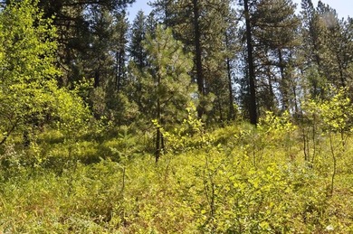 Beautifully wooded, nearly 3/4 acre lot offered for sale in the on Meadowcreek Golf Resort in Idaho - for sale on GolfHomes.com, golf home, golf lot