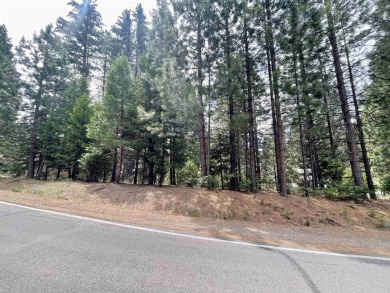 This lot is nearly level and is situated right in the middle of on Lake Almanor Country Club in California - for sale on GolfHomes.com, golf home, golf lot