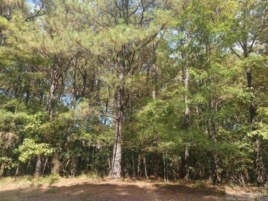 Exceptional Package Deal: 14 Residential Lots in Hot Springs on Cortez Golf Course in Arkansas - for sale on GolfHomes.com, golf home, golf lot