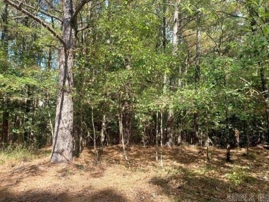 Exceptional Package Deal: 14 Residential Lots in Hot Springs on Cortez Golf Course in Arkansas - for sale on GolfHomes.com, golf home, golf lot
