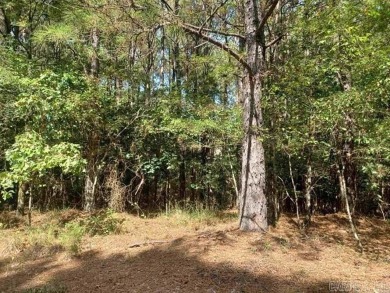 Exceptional Package Deal: 14 Residential Lots in Hot Springs on Cortez Golf Course in Arkansas - for sale on GolfHomes.com, golf home, golf lot