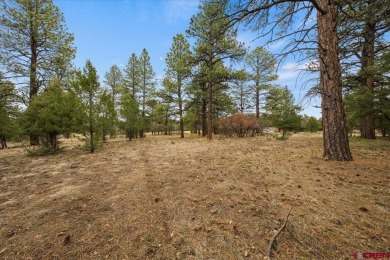 Mistalyn Kuzov, United Country Sneffels Realty, C: , mistalynk on The Divide Ranch and Club in Colorado - for sale on GolfHomes.com, golf home, golf lot