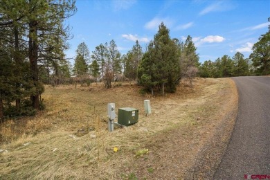Mistalyn Kuzov, United Country Sneffels Realty, C: , mistalynk on The Divide Ranch and Club in Colorado - for sale on GolfHomes.com, golf home, golf lot