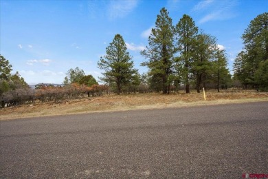 Mistalyn Kuzov, United Country Sneffels Realty, C: , mistalynk on The Divide Ranch and Club in Colorado - for sale on GolfHomes.com, golf home, golf lot