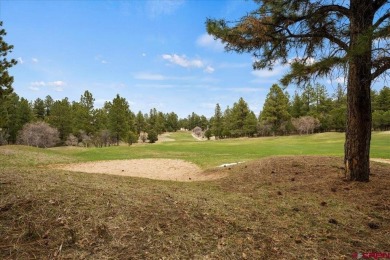 Mistalyn Kuzov, United Country Sneffels Realty, C: , mistalynk on The Divide Ranch and Club in Colorado - for sale on GolfHomes.com, golf home, golf lot