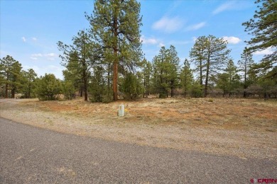 Mistalyn Kuzov, United Country Sneffels Realty, C: , mistalynk on The Divide Ranch and Club in Colorado - for sale on GolfHomes.com, golf home, golf lot