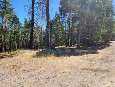 Beautiful parcel in Lake Almanor West. .80 acres. Great building on Lake Almanor West Golf Course in California - for sale on GolfHomes.com, golf home, golf lot