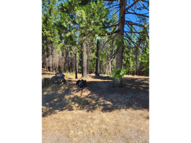 Beautiful parcel in Lake Almanor West. .80 acres. Great building on Lake Almanor West Golf Course in California - for sale on GolfHomes.com, golf home, golf lot