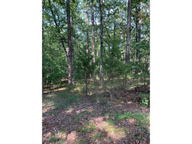 Exceptional Package Deal: 16 Residential Lots in Hot Springs on Cortez Golf Course in Arkansas - for sale on GolfHomes.com, golf home, golf lot