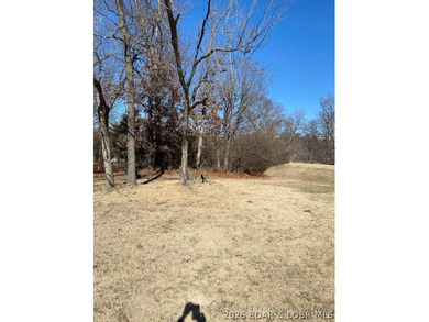 Prime Building Opportunity in Country Club Cove! Located in the on Seasons Ridge At Four Seasons in Missouri - for sale on GolfHomes.com, golf home, golf lot