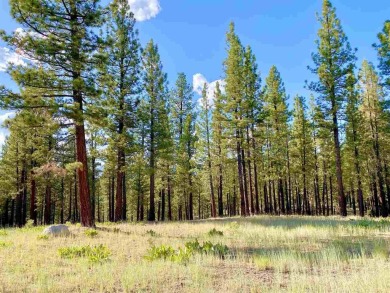 This beautiful, forested homesite with access to Forest Service on Nakoma Golf Resort in California - for sale on GolfHomes.com, golf home, golf lot