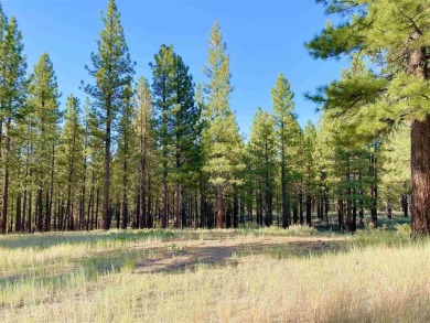 This beautiful, forested homesite with access to Forest Service on Nakoma Golf Resort in California - for sale on GolfHomes.com, golf home, golf lot