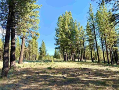 This beautiful, forested homesite with access to Forest Service on Nakoma Golf Resort in California - for sale on GolfHomes.com, golf home, golf lot