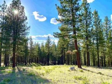 This beautiful, forested homesite with access to Forest Service on Nakoma Golf Resort in California - for sale on GolfHomes.com, golf home, golf lot