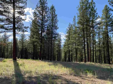 This beautiful, forested homesite with access to Forest Service on Nakoma Golf Resort in California - for sale on GolfHomes.com, golf home, golf lot