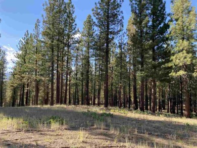 This beautiful, forested homesite with access to Forest Service on Nakoma Golf Resort in California - for sale on GolfHomes.com, golf home, golf lot